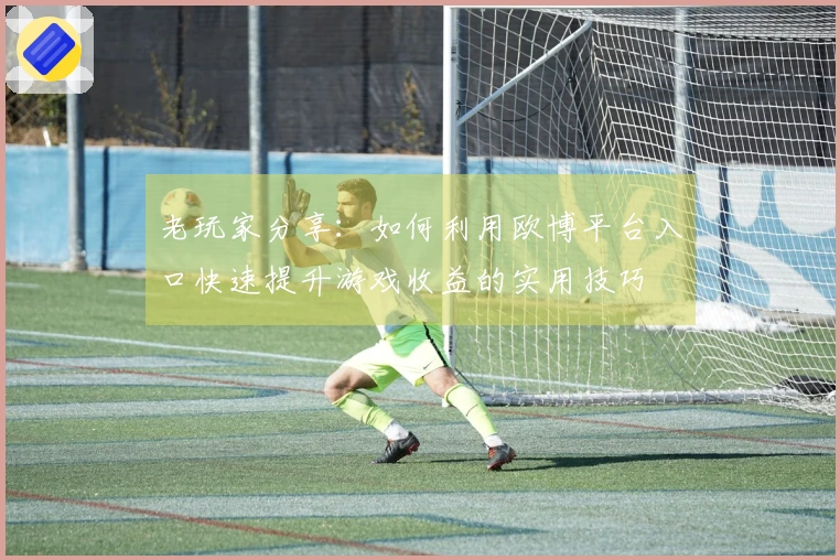 老玩家分享：如何利用欧博平台入口快速提升游戏收益的实用技巧