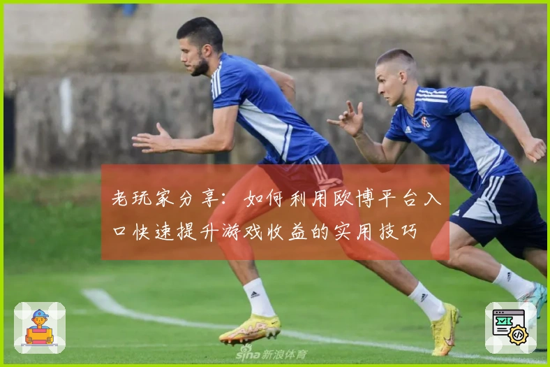 老玩家分享：如何利用欧博平台入口快速提升游戏收益的实用技巧