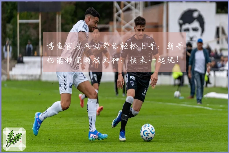 博鱼官方网站带你轻松上手，新手也能秒变游戏大神，快来一起玩！