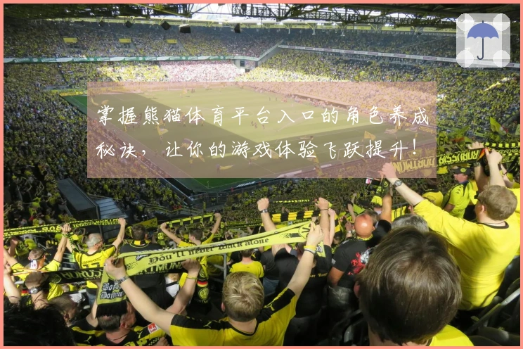 掌握熊猫体育平台入口的角色养成秘诀，让你的游戏体验飞跃提升！
